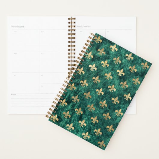 Grunge Green Velvet Fleur De Lis Mardi Gras Planner (Display)