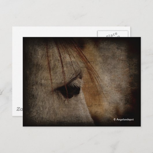 Grunge Grunge Briefkaart (Voorkant / Achterkant)