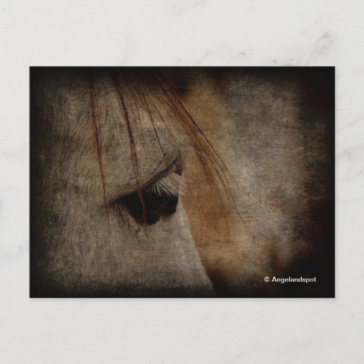 Grunge Grunge Briefkaart (Voorkant)