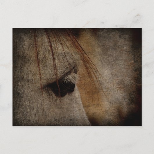Grunge Grunge Briefkaart (Voorkant)