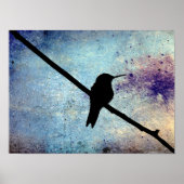 Grunge Hummingbird Poster (Voorkant)