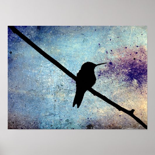 Grunge Hummingbird Poster (Voorkant)