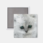 Grunge Kitten Magneet (Voorkant / Achterkant)
