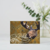 Grunge mose briefkaart (Staand voorkant)