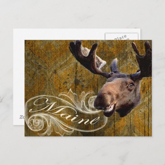 Grunge mose briefkaart (Voorkant / Achterkant)