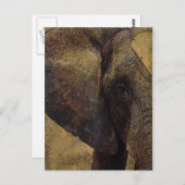 Grunge Parchment Majestic African Elephant Briefkaart (Voorkant / Achterkant)