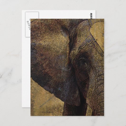 Grunge Parchment Majestic African Elephant Briefkaart (Voorkant / Achterkant)