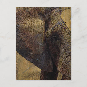 Grunge Parchment Majestic African Elephant Briefkaart