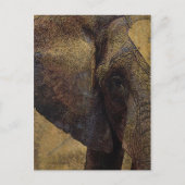 Grunge Parchment Majestic African Elephant Briefkaart (Voorkant)