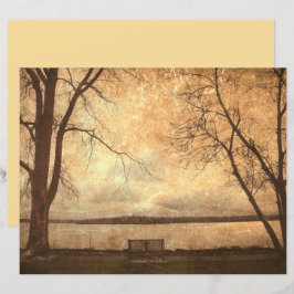 Grunge Park Bench Trees Rustic Texture