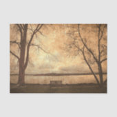  Grunge Park Bench Trees Rustic Texture Tissuepapier