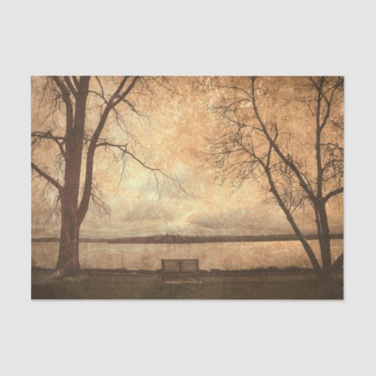  Grunge Park Bench Trees Rustic Texture Tissuepapier (Voorkant)
