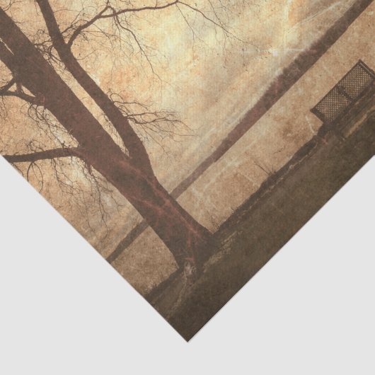  Grunge Park Bench Trees Rustic Texture Tissuepapier (Detail)