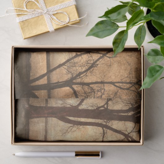  Grunge Park Bench Trees Rustic Texture Tissuepapier (Geschenk)