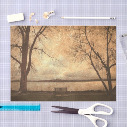  Grunge Park Bench Trees Rustic Texture Tissuepapier