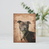 Grunge Pit Bull Terrier Briefkaart (Staand voorkant)