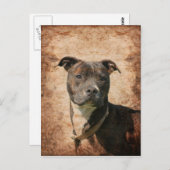 Grunge Pit Bull Terrier Briefkaart (Voorkant / Achterkant)