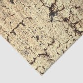 Grunge Rustic Beige Brown  textuur Tissuepapier (Detail)