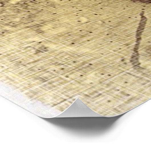 Grunge Skull Poster (Hoek)