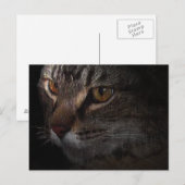 Grunge Tabby Cat Face in Shadow Briefkaart (Voorkant / Achterkant)