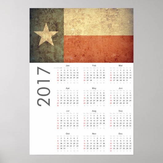 Grunge Texas Vlag Agenda 2017 Poster (Voorkant)