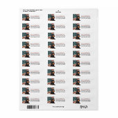 Grunge USA Vlag Dachshond Hond Etiket (Full Sheet)