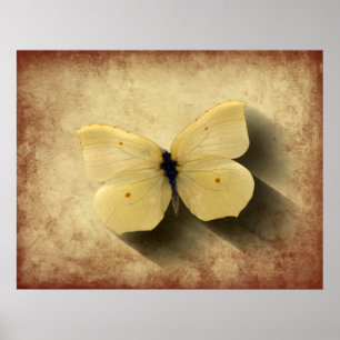 Grunge Yellow Butterfly met schaduw Poster