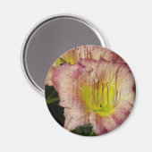 Grunged Up look Daylily Magneet (Voorkant / Achterkant)