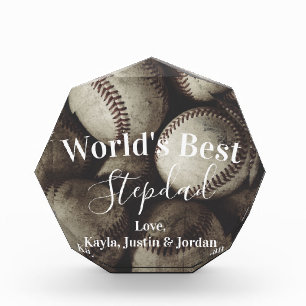 Grungy Baseball World's Best Stepdad Photo Block Fotoblokken