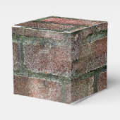 Grungy Dirty Moldy Brick Wall Bedankdoosjes (Voorkant Zijde)