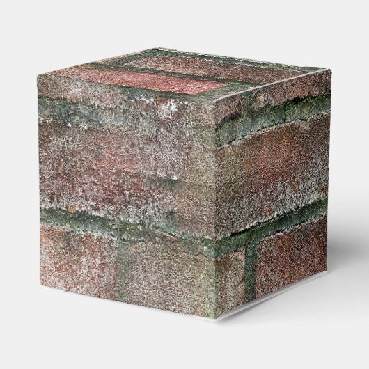 Grungy Dirty Moldy Brick Wall Bedankdoosjes (Achterkant)
