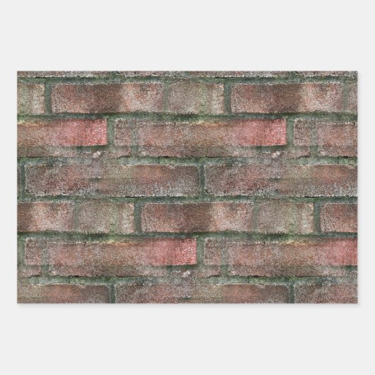 Grungy Dirty Moldy Brick Wall Inpakpapier Vel (Voorkant)