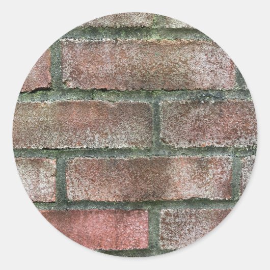 Grungy Dirty Moldy Brick Wall Ronde Sticker (Voorkant)