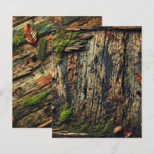 Grungy herfstversleten hout en mos plakboek papier