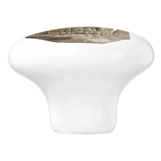 Grungy Skull Keramische Knop (Zijkant)