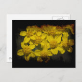 Grungy Yellow Wildflowers Briefkaart (Voorkant / Achterkant)