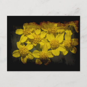 Grungy Yellow Wildflowers Briefkaart