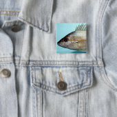 Grunt Fish Vierkante Button 5,1 Cm (In situ)