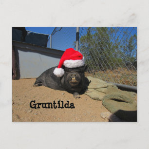 Gruntilda Post-Card Holiday Briefkaart