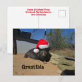 Gruntilda Post-Card Holiday Briefkaart (Voorkant / Achterkant)