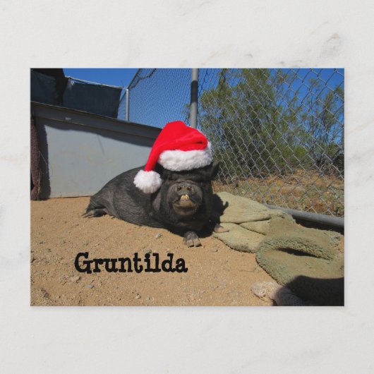 Gruntilda Post-Card Holiday Briefkaart (Voorkant)