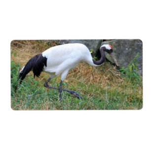 Grus japonensis etiket