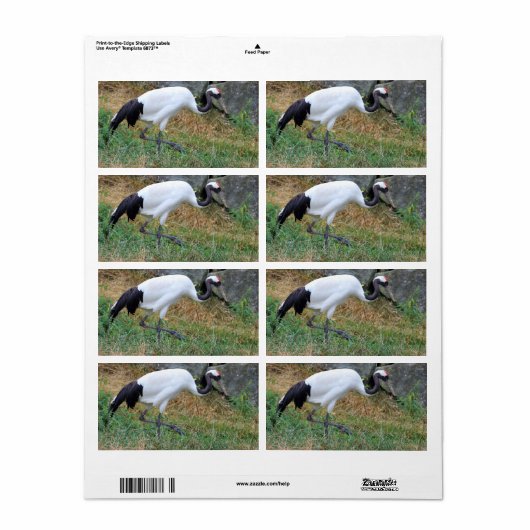 Grus japonensis etiket (Full Sheet)