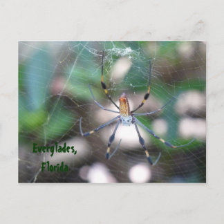 Grüße aus Florida Grußkarte Postkarte Briefkaart