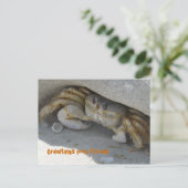 Grüße aus Florida Grußkarte Postkarte Briefkaart (Staand voorkant)