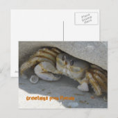 Grüße aus Florida Grußkarte Postkarte Briefkaart (Voorkant / Achterkant)