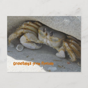Grüße aus Florida Grußkarte Postkarte Briefkaart