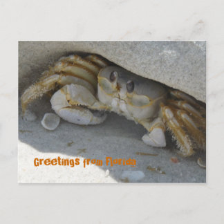 Grüße aus Florida Grußkarte Postkarte Briefkaart