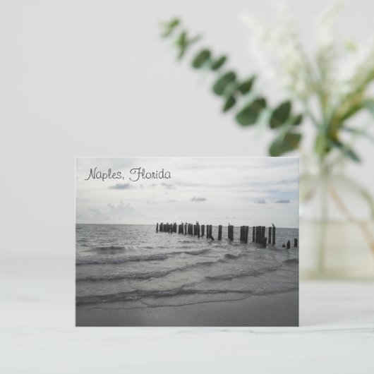 Grüße aus Florida Grußkarte Postkarte Briefkaart (Staand voorkant)