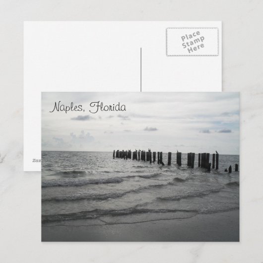 Grüße aus Florida Grußkarte Postkarte Briefkaart (Voorkant / Achterkant)